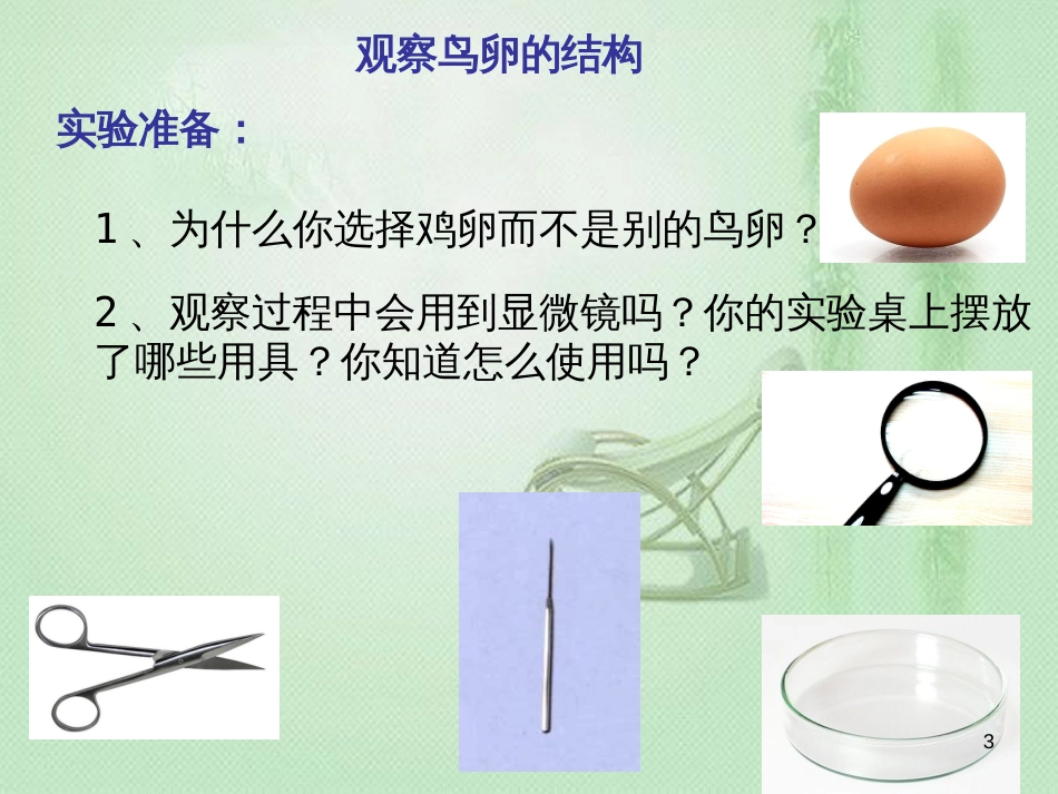 八年级生物上册 第四单元 第二章 第三节鸟的生殖和发育优质课件 （新版）济南版_第3页