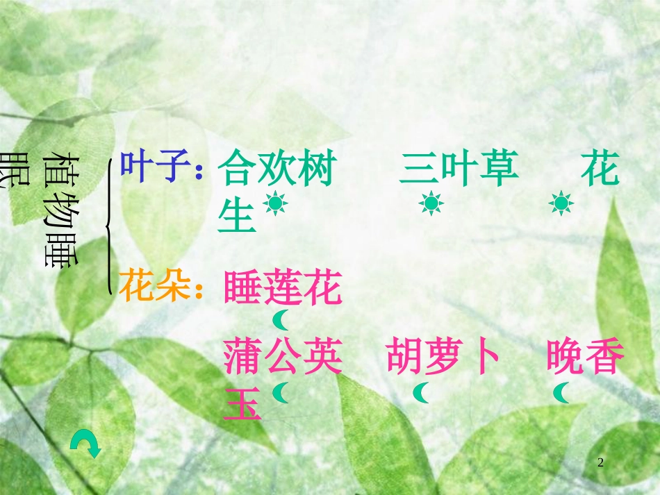 三年级语文上册 第三单元 植物的睡眠课件5 西师大版_第2页