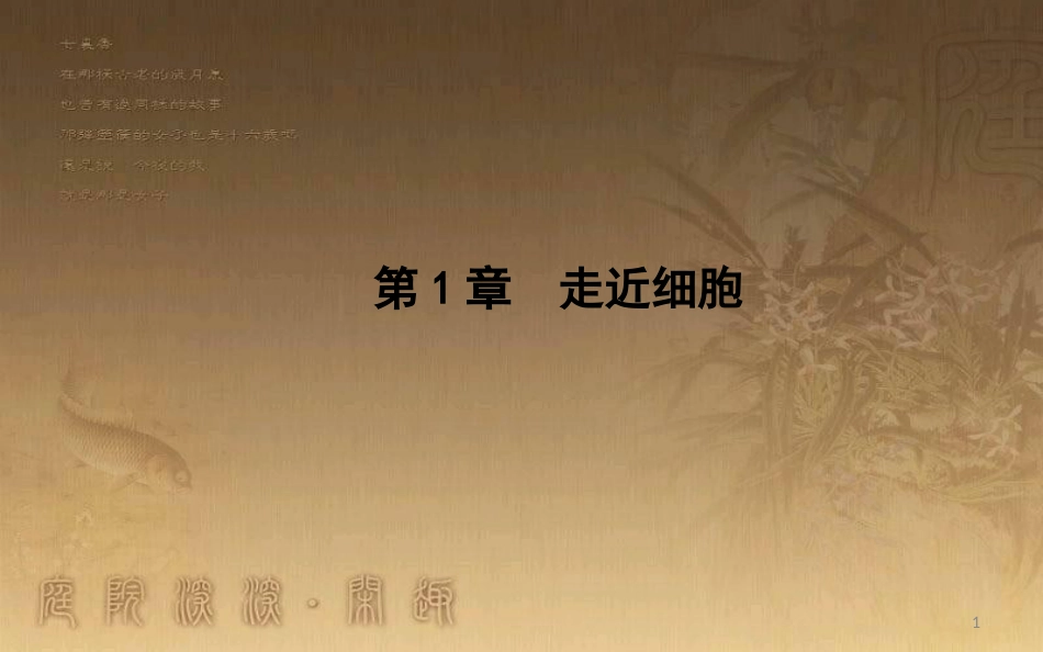 高中生物 第1章 走近细胞 第1节 从生物圈到细胞优质课件 新人教版必修1_第1页
