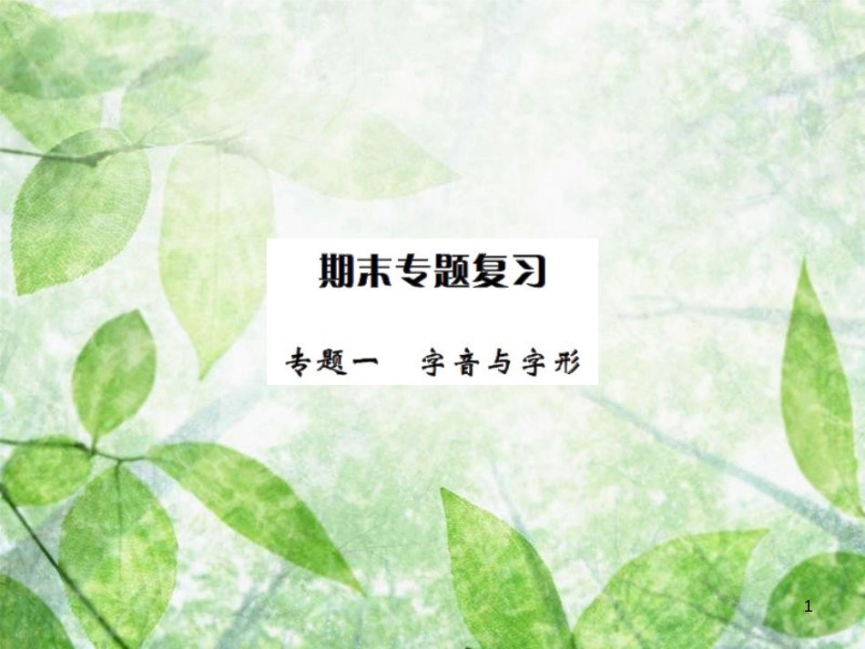 七年级语文上册 专题一 字音与字形习题优质课件 新人教版_第1页