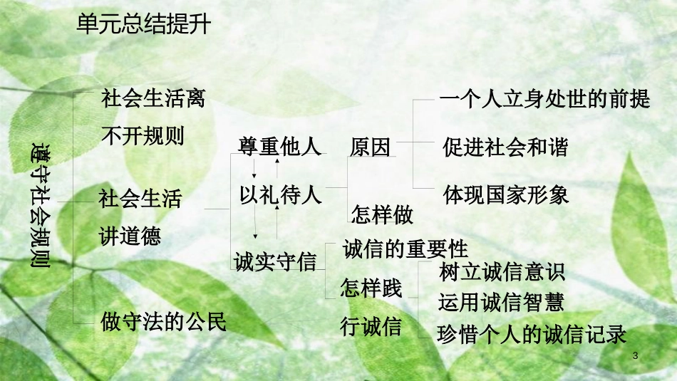 八年级道德与法治上册 第二单元 遵守社会规则复习优质课件 新人教版_第3页