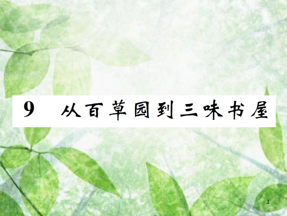 七年级语文上册 9 从百草园到三味书屋优质课件 新人教版_第1页