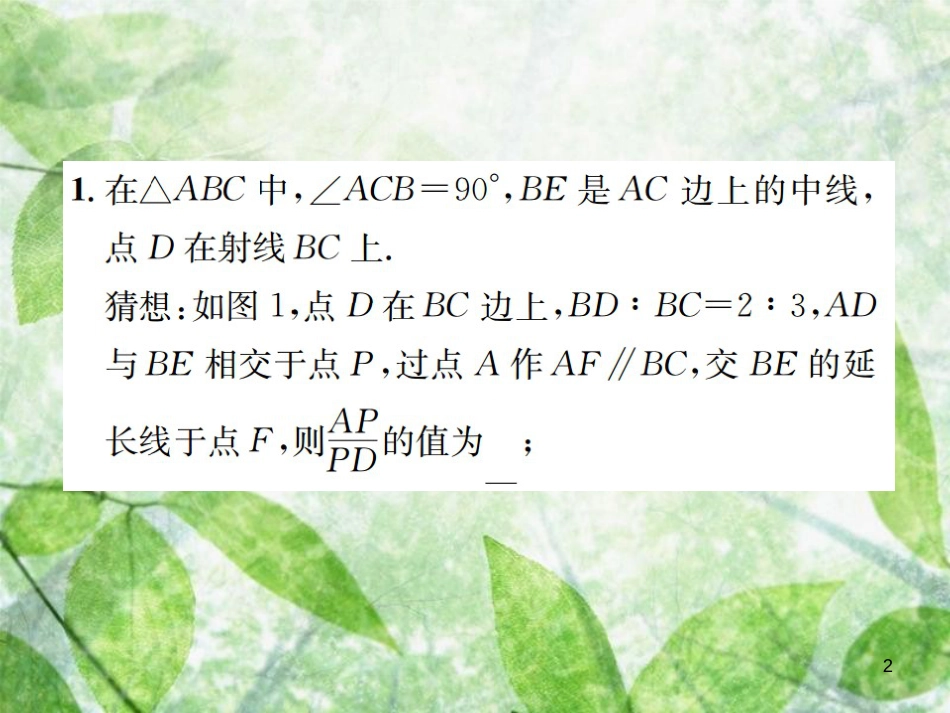 九年级数学下册 小专题（八）相似的综合与探究习题优质课件 （新版）新人教版_第2页