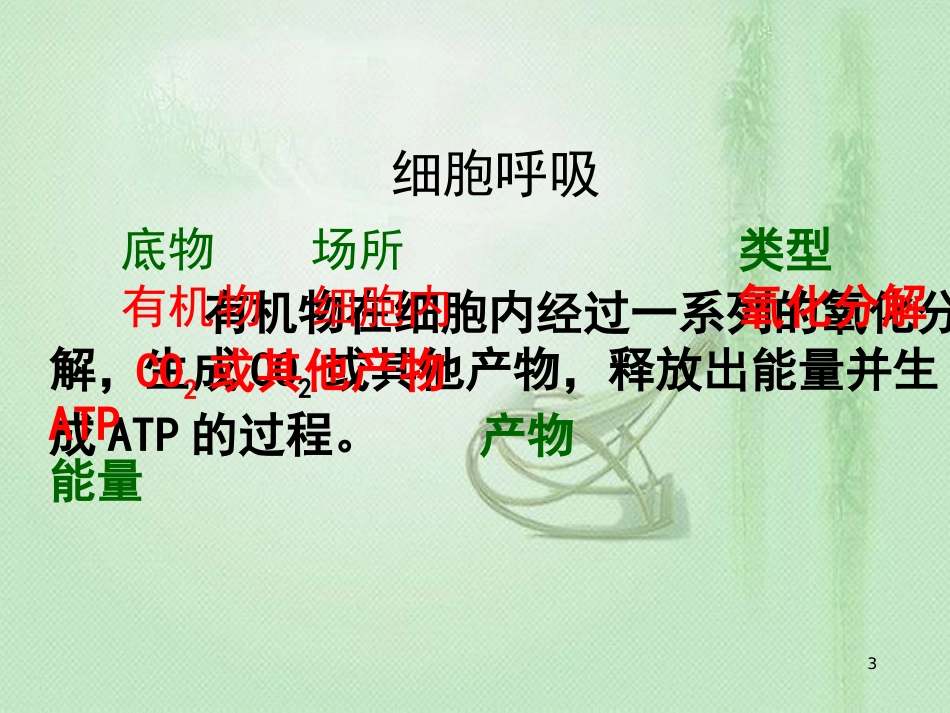 高中生物 专题5.3 ATP的主要来源——细胞呼吸同步优质课件 新人教版必修1_第3页