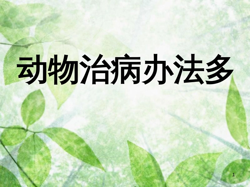 三年级语文上册 第五单元 动物治病办法多课件2 湘教版_第1页