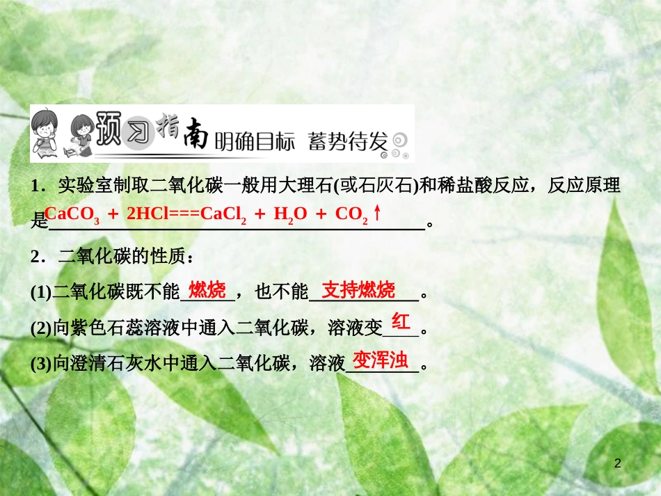 九年级化学上册 第6单元 碳和碳的氧化物 实验活动2 二氧化碳的实验室制取与性质作业优质课件 （新版）新人教版_第2页
