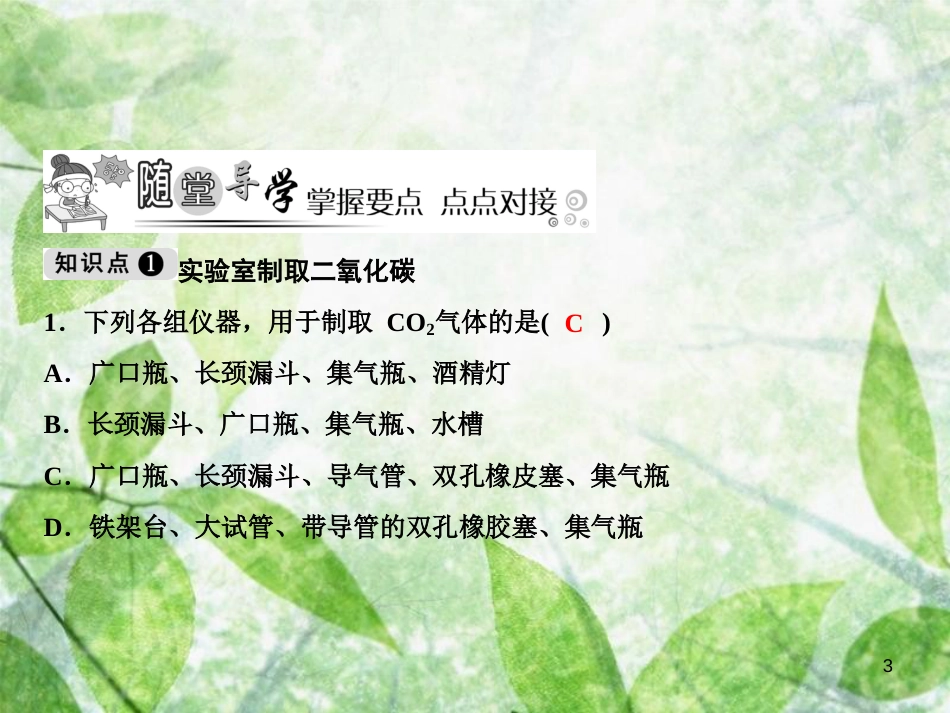 九年级化学上册 第6单元 碳和碳的氧化物 实验活动2 二氧化碳的实验室制取与性质作业优质课件 （新版）新人教版_第3页