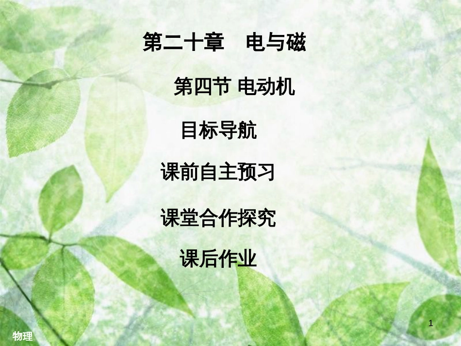 九年级物理全册 20.4 电动机习题优质课件 （新版）新人教版_第1页