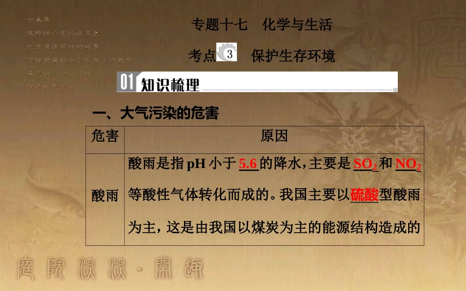 高中化学学业水平测试复习 第九章 化学与生活 专题十七 化学与生活 考点3 保护生存环境优质课件优质课件_第2页