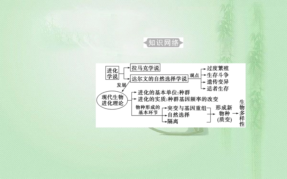 高中生物学业水平复习 专题十一 生物的进化 考点1 现代生物进化理论的主要内容优质课件_第2页