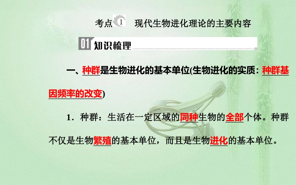 高中生物学业水平复习 专题十一 生物的进化 考点1 现代生物进化理论的主要内容优质课件_第3页