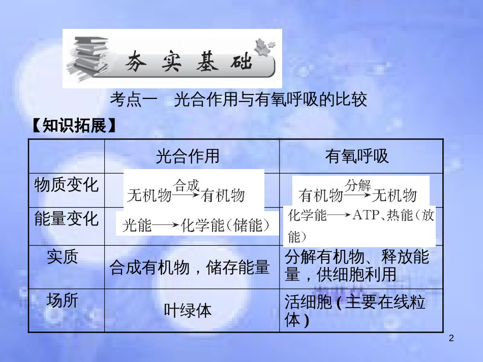 高考生物一轮总复习 第五章 细胞的能量供应和利用 5.4 能量之源—光与光合作用（4）（光合作用和呼吸作用的关系化能合成作用）课件 新人教版必修1_第2页