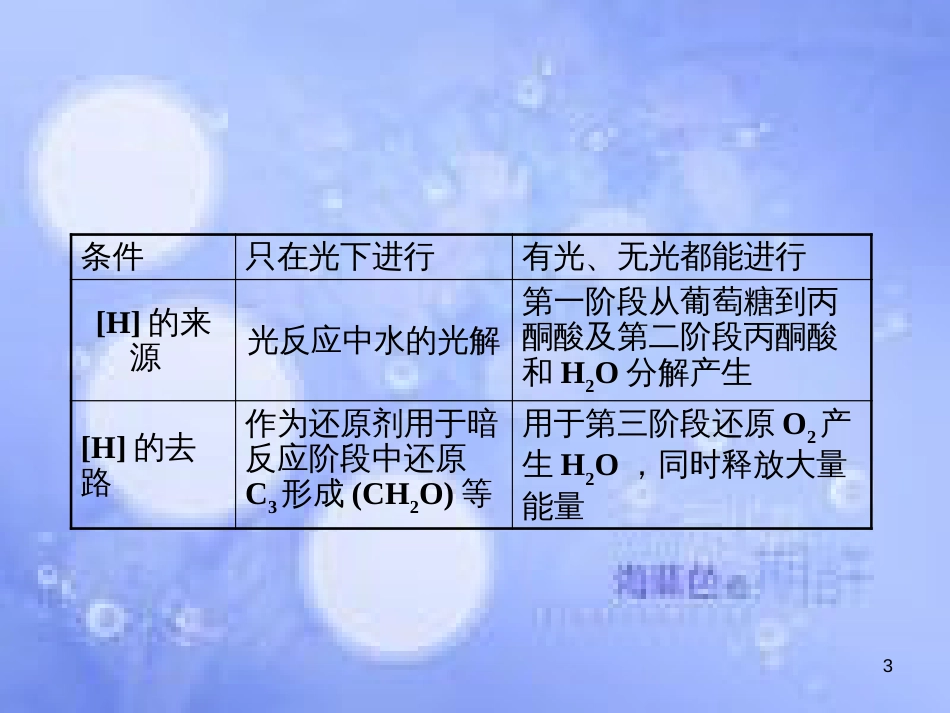 高考生物一轮总复习 第五章 细胞的能量供应和利用 5.4 能量之源—光与光合作用（4）（光合作用和呼吸作用的关系化能合成作用）课件 新人教版必修1_第3页