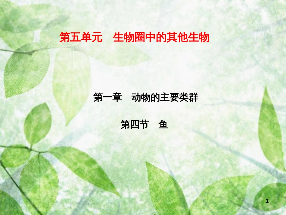 八年级生物上册 第5单元 第1章 第4节 鱼习题优质课件 （新版）新人教版_第1页