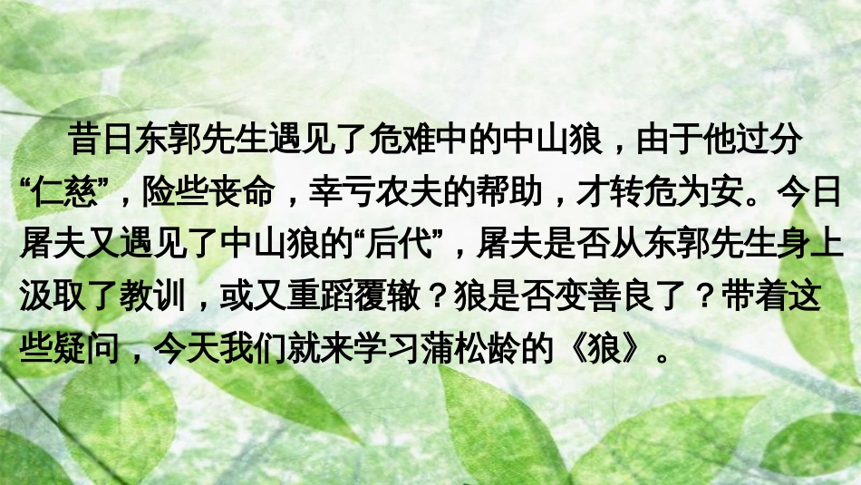 七年级语文上册 第五单元 18 狼优质课件 新人教版_第2页