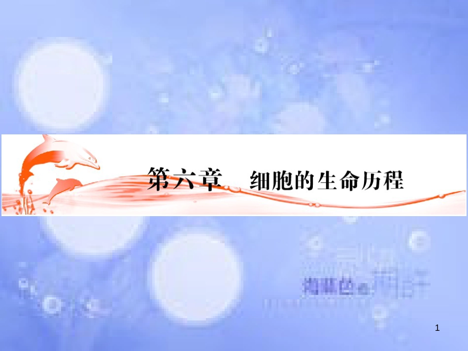 高三生物一轮复习 第六章 细胞的增殖（第1课时）精品课件（必修3）_第1页