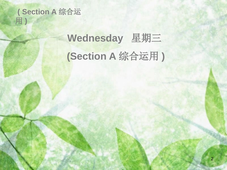 八年级英语上册 Unit 7 Will people have robots Wednesday（复现式周周练）习题优质课件 （新版）人教新目标版_第2页