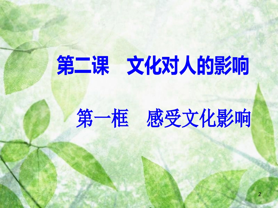 高中政治 第一单元 文化与生活 第二课 文化对人的影响 第一框 感受文化影响优质课件 新人教版必修3_第2页