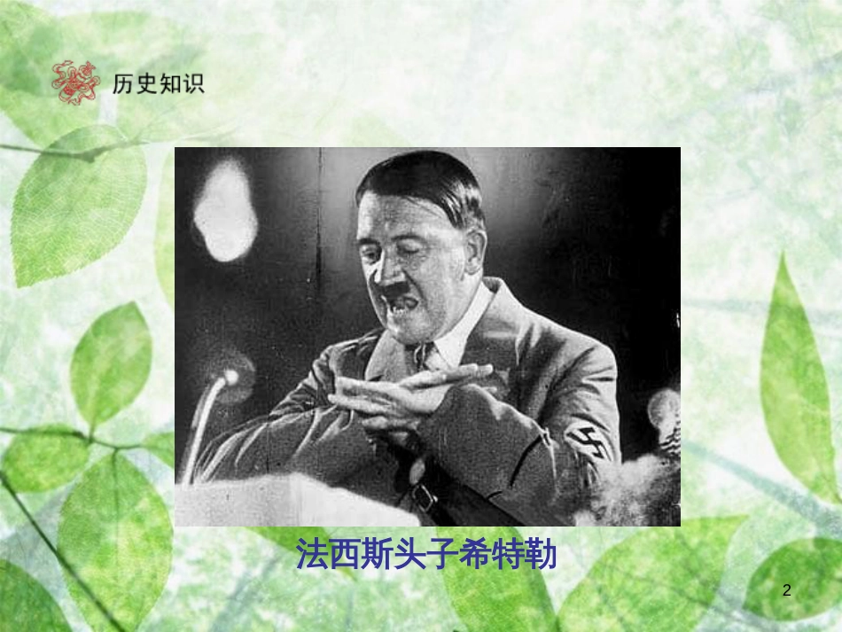 九年级历史下册 第2单元 凡尔赛——华盛顿体系下的世界 5 法西斯势力的猖獗优质课件 新人教版_第2页