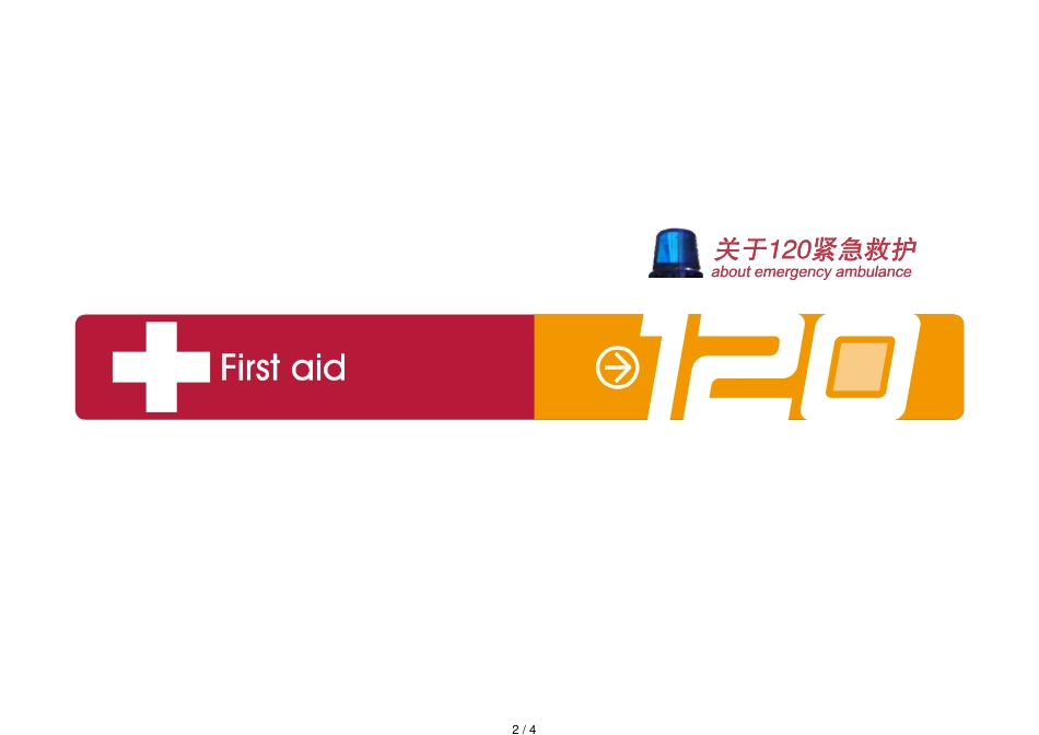 120医疗模板[共4页]_第2页