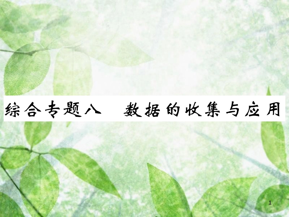 七年级数学上册 综合专题八 数据的收集与应用优质课件 （新版）北师大版_第1页