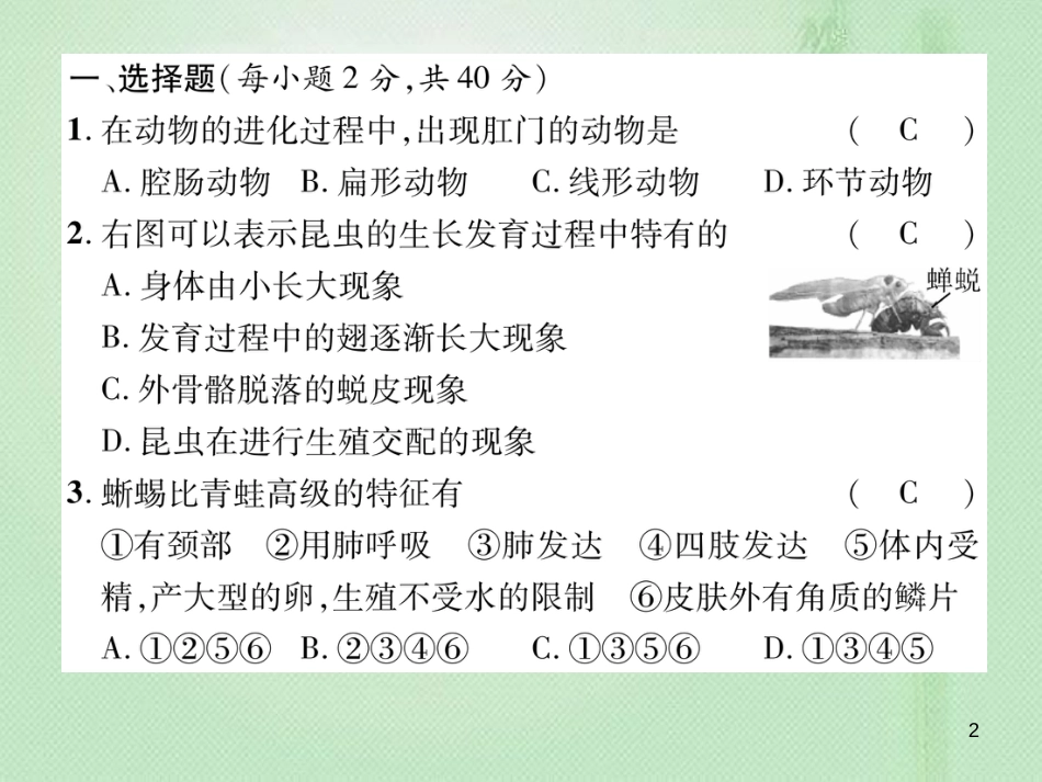 八年级生物上册 期末标测试优质课件二 （新版）新人教版_第2页