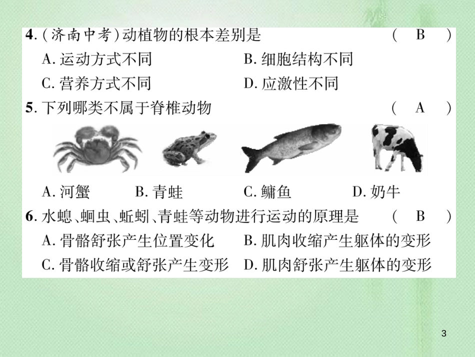 八年级生物上册 期末标测试优质课件二 （新版）新人教版_第3页