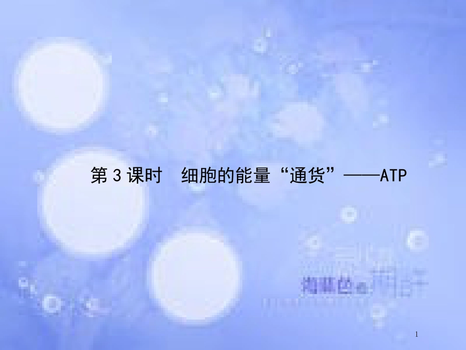 高中生物 第5单元 细胞的能量供应和利用（第3课时）细胞的能量通货——ATP课件 新人教版必修1_第1页