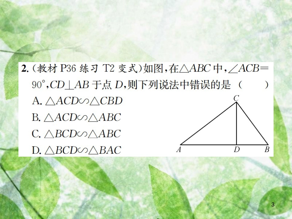 九年级数学下册 第二十七章 相似 27.2 相似三角形 27.2.1 第3课时 相似三角形的判定定理3习题优质课件 （新版）新人教版_第3页