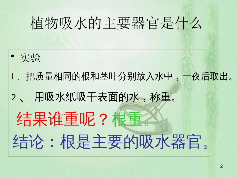八年级生物上册 第2章 第2节 根对水分的吸收优质课件2 （新版）冀教版_第2页