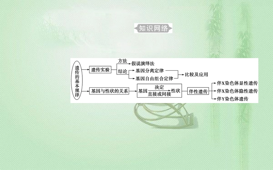 高中生物学业水平复习 专题八 遗传的基本规律 考点1 孟德尔遗传实验的科学方法优质课件_第2页