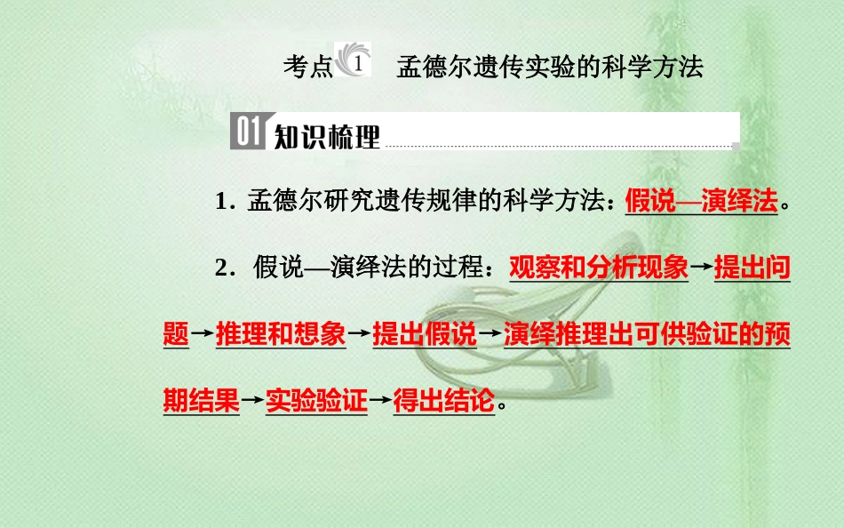 高中生物学业水平复习 专题八 遗传的基本规律 考点1 孟德尔遗传实验的科学方法优质课件_第3页