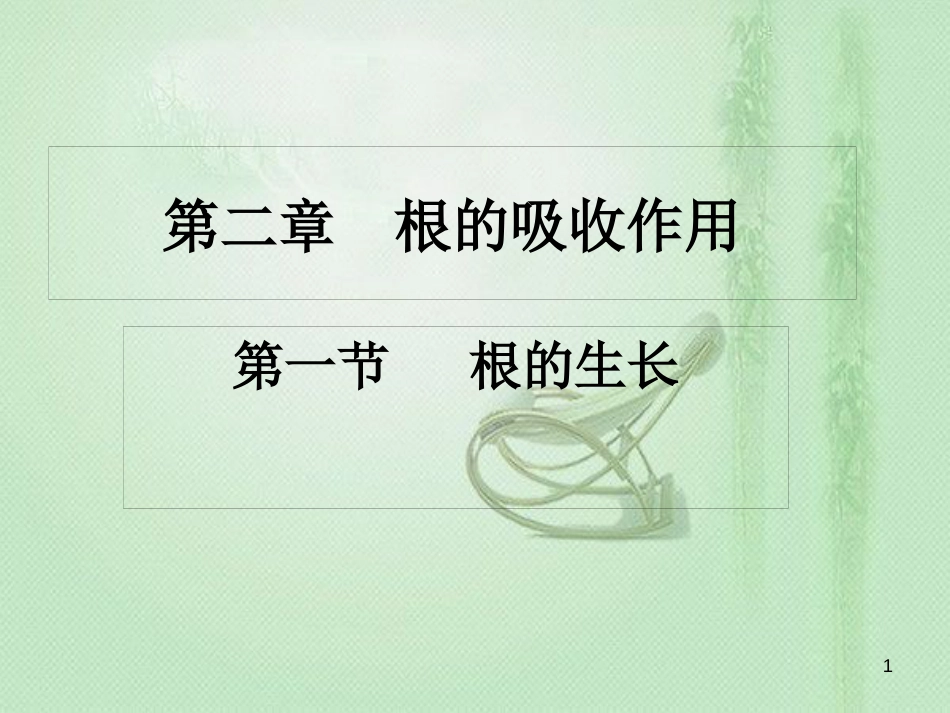八年级生物上册 第三单元 第二章 第一节 根的生长优质课件 （新版）冀教版_第1页