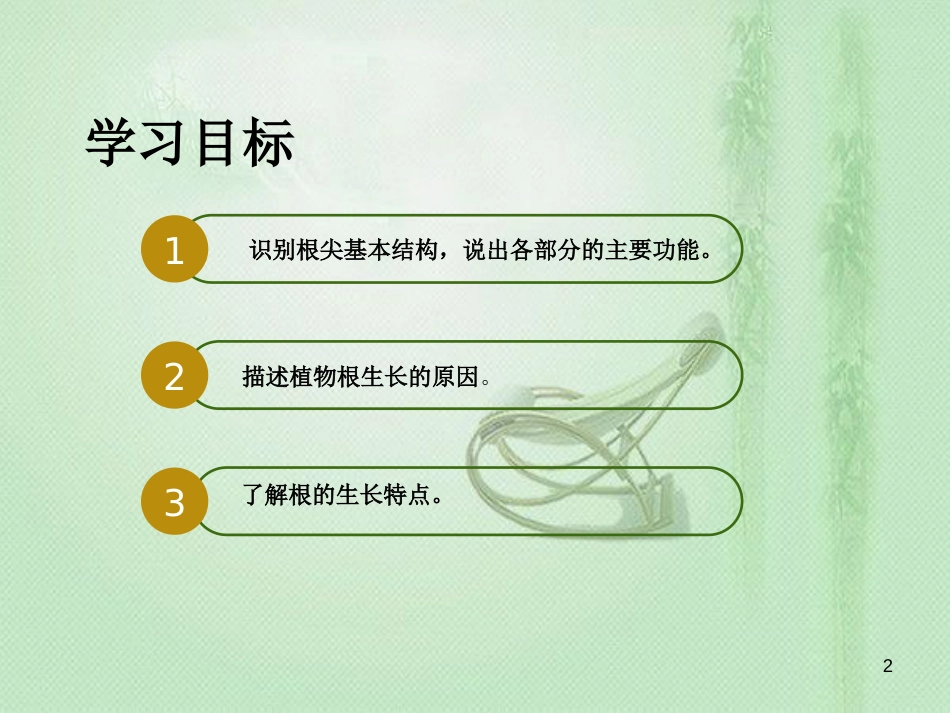 八年级生物上册 第三单元 第二章 第一节 根的生长优质课件 （新版）冀教版_第2页
