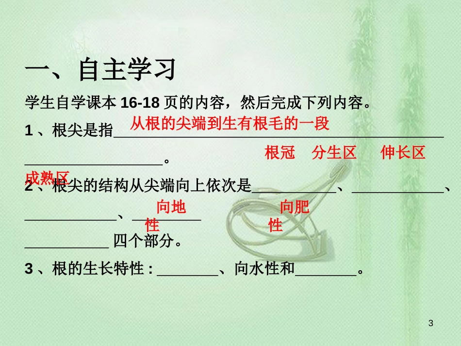 八年级生物上册 第三单元 第二章 第一节 根的生长优质课件 （新版）冀教版_第3页