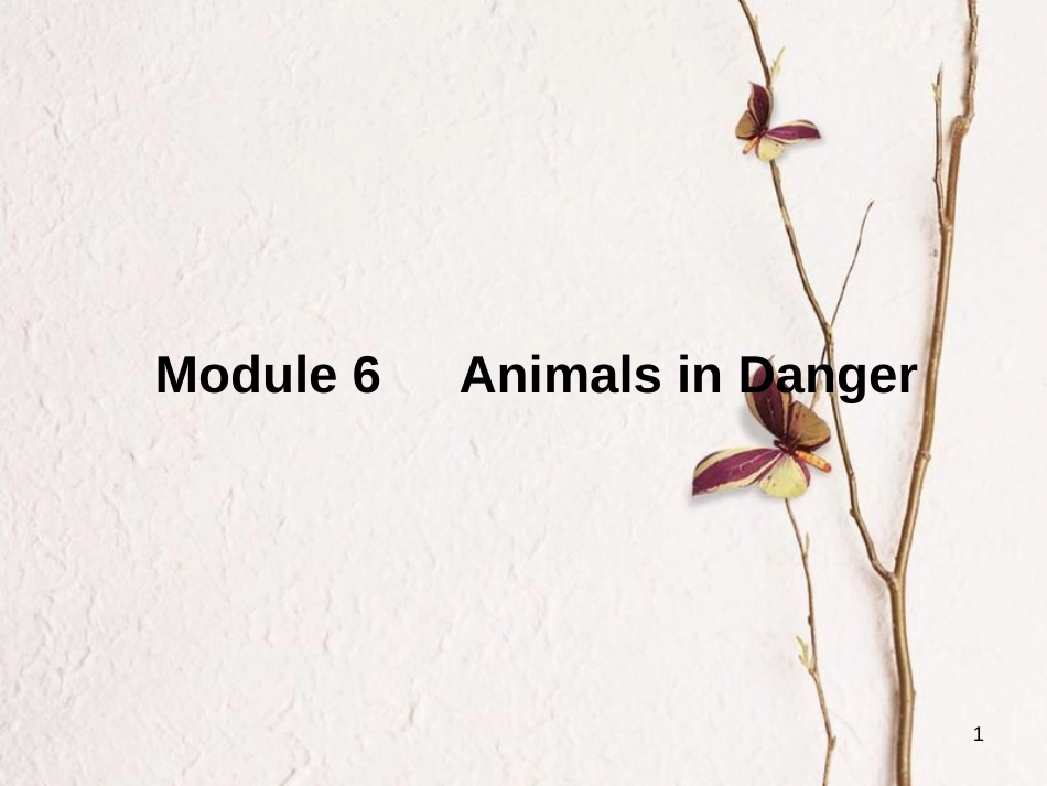 高中英语 Module 6 Animals in Danger Section Ⅰ Introduction,Reading & Vocabulary课件 外研版必修5[共48页][共48页]_第1页