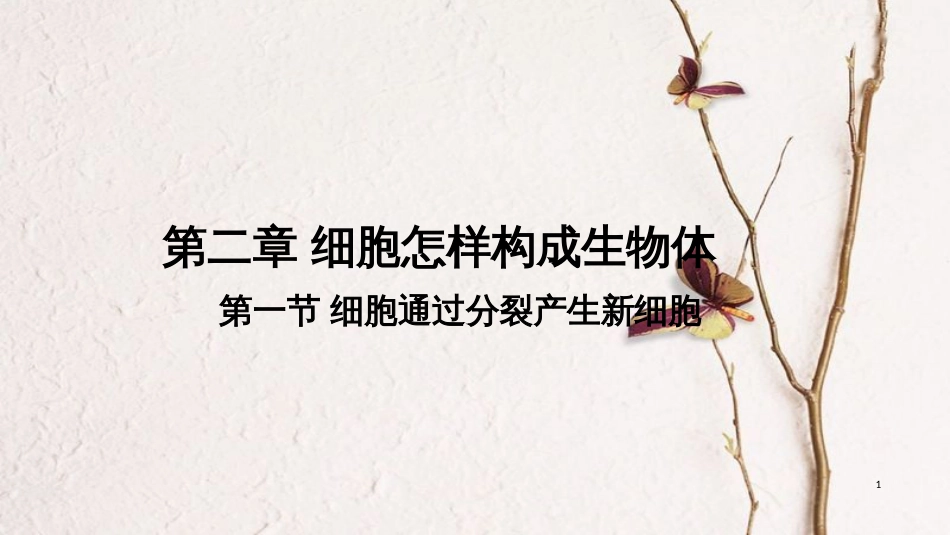 七年级生物上册 第二单元 第二章 第一节 细胞通过分裂产生新细胞课件 （新版）新人教版[共26页]_第1页