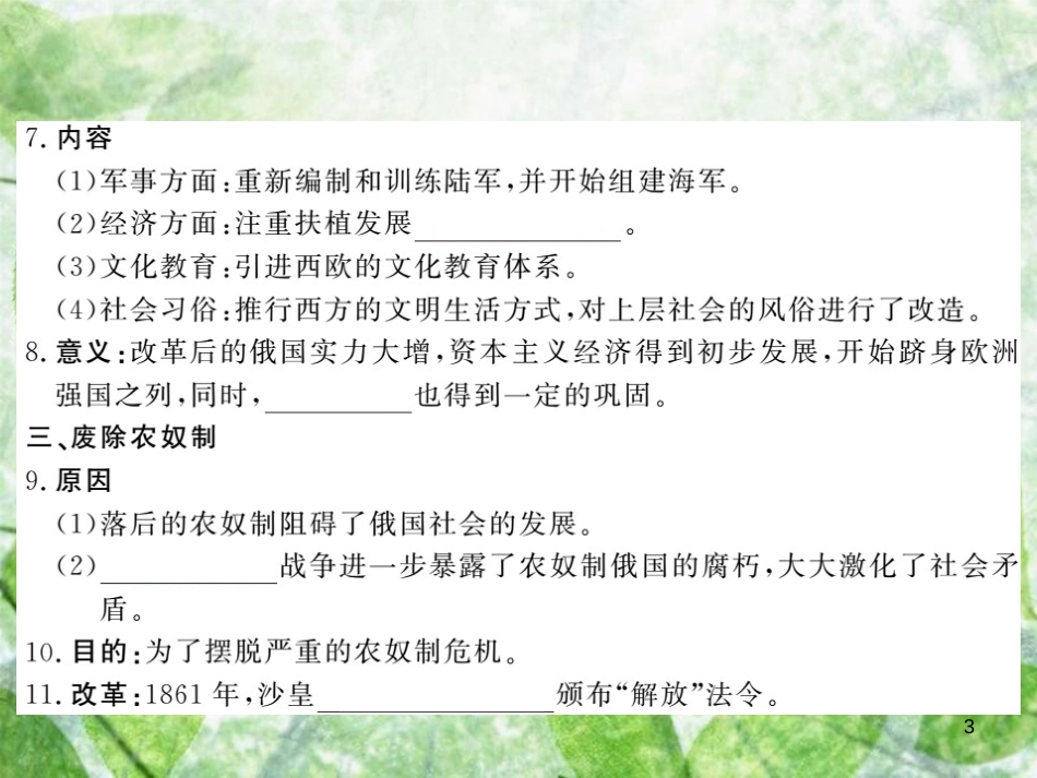 九年级历史上册 第六单元 资本主义制度的扩张和第二次工业革命 第20课 俄国的改革优质课件 岳麓版_第3页