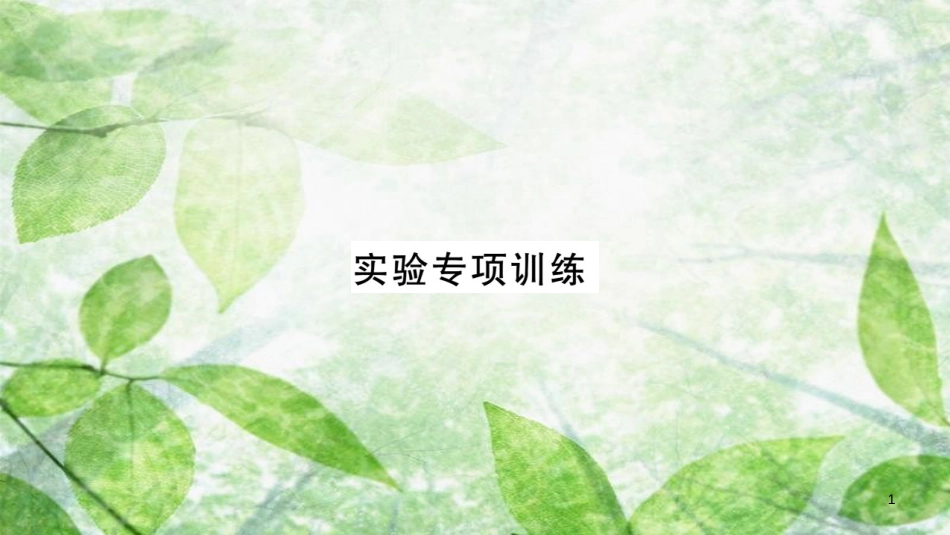 八年级生物上册 实验专项训练习题优质课件 （新版）新人教版_第1页