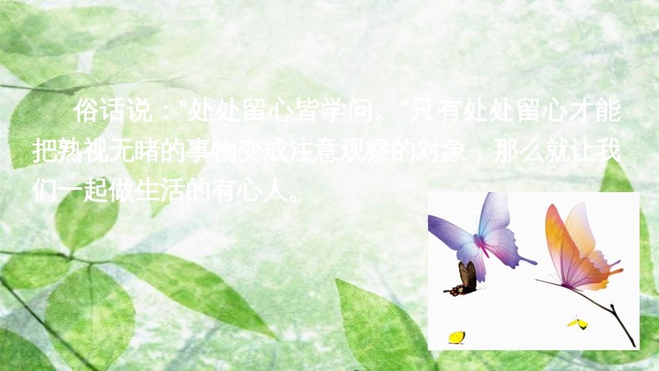 七年级语文上册 第一单元 写作 热爱生活，热爱写作优质课件 新人教版_第3页