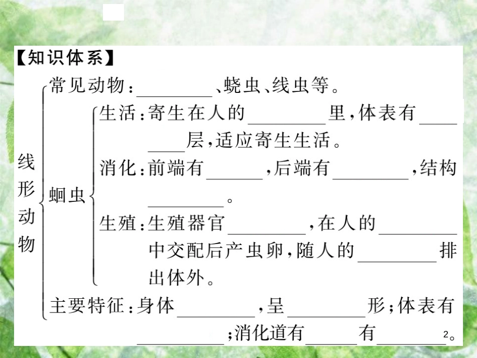 八年级生物上册 第五单元 第一章 第二节 线形动物和环节动物习题优质课件 （新版）新人教版_第2页