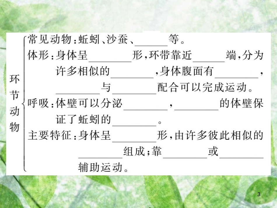 八年级生物上册 第五单元 第一章 第二节 线形动物和环节动物习题优质课件 （新版）新人教版_第3页