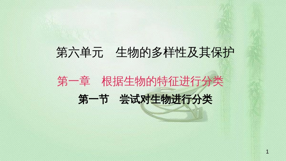 八年级生物上册 第六单元 第一章 第一节 尝试对生物进行分类优质课件 （新版）新人教版_第1页