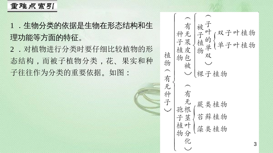 八年级生物上册 第六单元 第一章 第一节 尝试对生物进行分类优质课件 （新版）新人教版_第3页