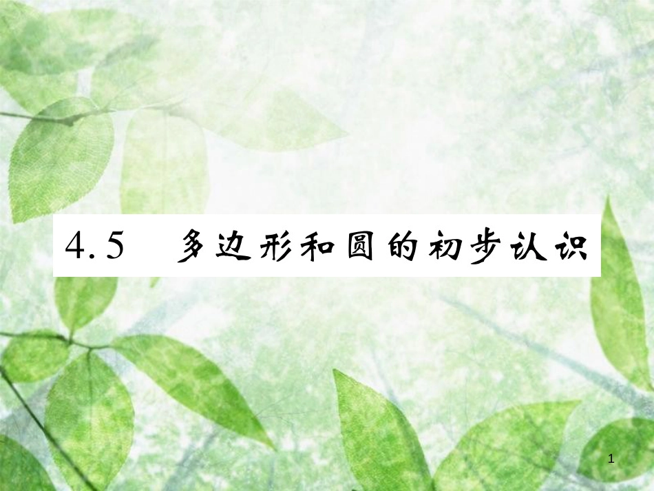 七年级数学上册 第四章 基本平面图形 4.5 多边形和圆的初步认识练习优质课件 （新版）北师大版_第1页