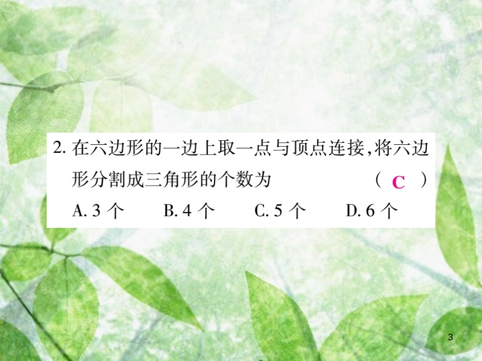 七年级数学上册 第四章 基本平面图形 4.5 多边形和圆的初步认识练习优质课件 （新版）北师大版_第3页