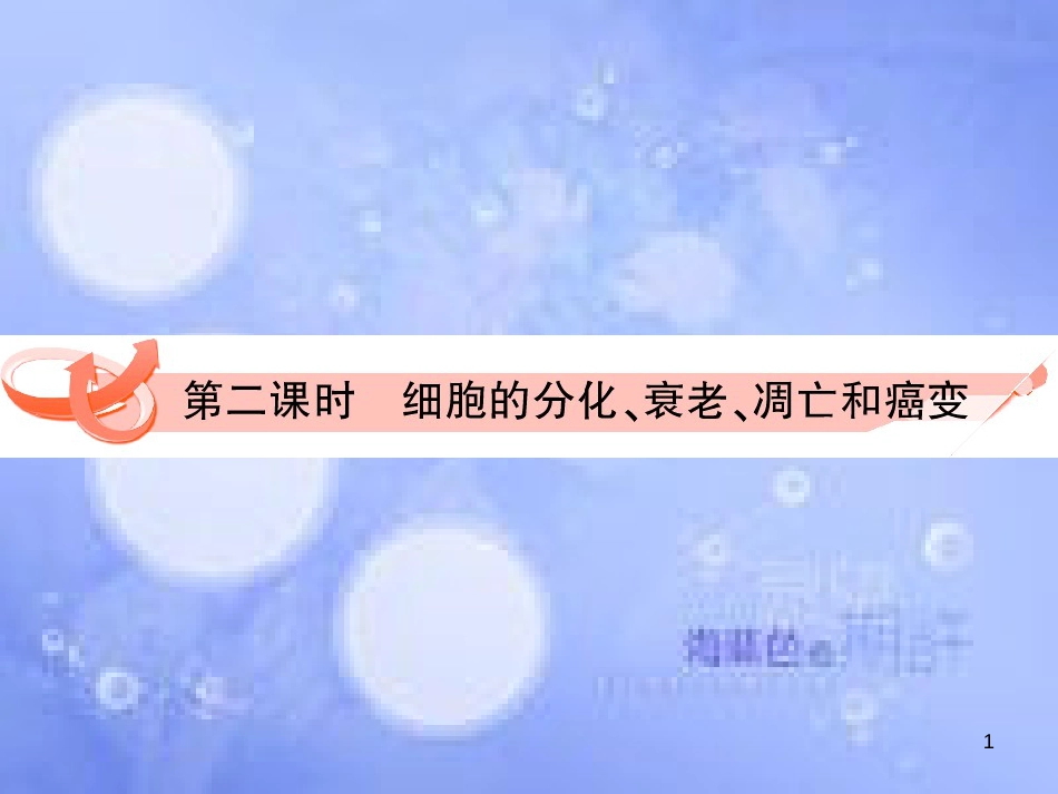 高三生物一轮复习 第六章 细胞的分化、衰老和凋亡（第2课时）精品课件（必修3）_第1页