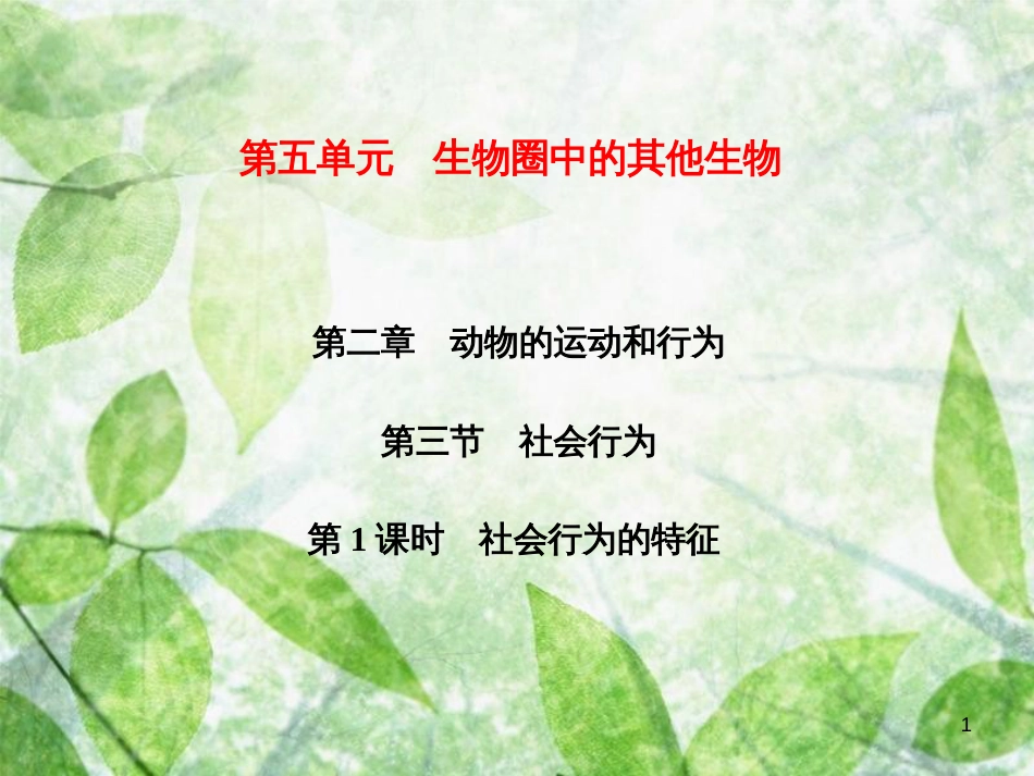 八年级生物上册 第5单元 第2章 第3节 社会行为（第1课时 社会行为的特征）习题优质课件 （新版）新人教版_第1页