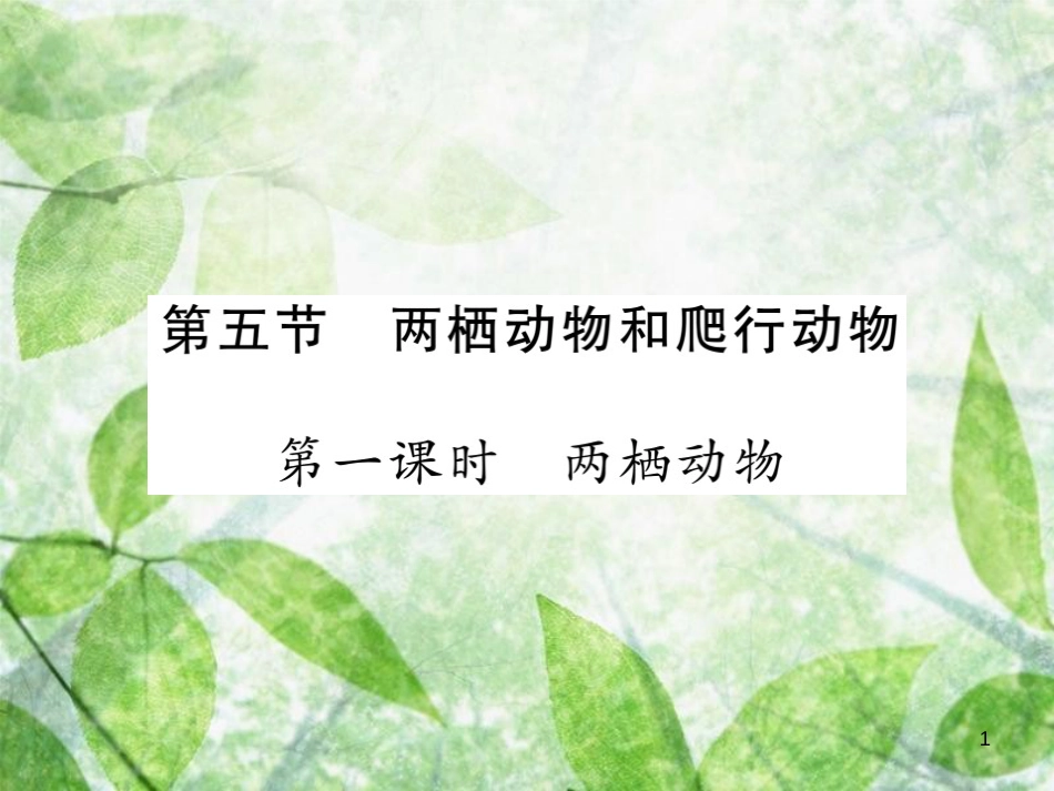 八年级生物上册 第五单元 第一章 第五节 两栖动物和爬行动物（第1课时 两栖动物）习题优质课件 （新版）新人教版_第1页