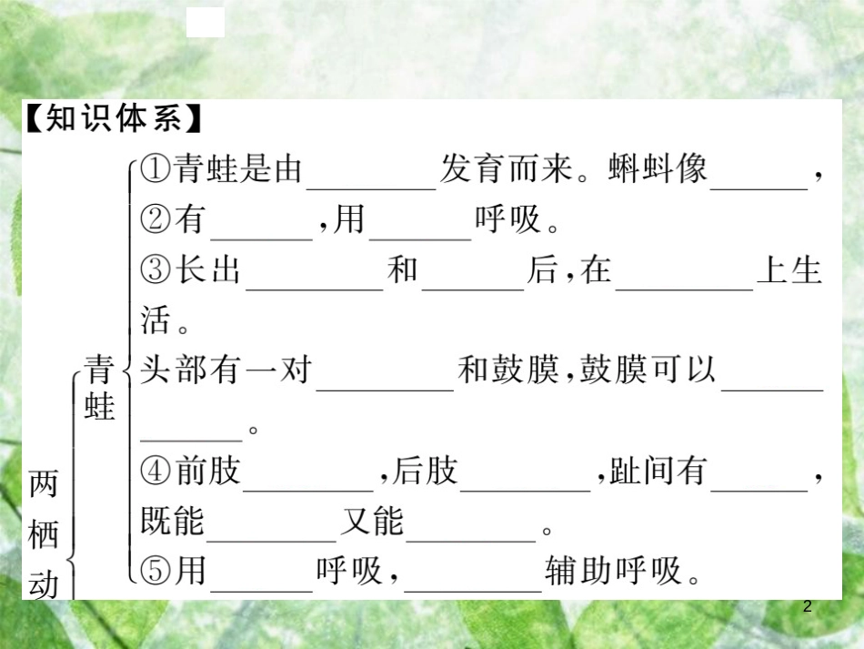 八年级生物上册 第五单元 第一章 第五节 两栖动物和爬行动物（第1课时 两栖动物）习题优质课件 （新版）新人教版_第2页